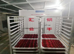 辣椒，秋葵烘干機(jī)